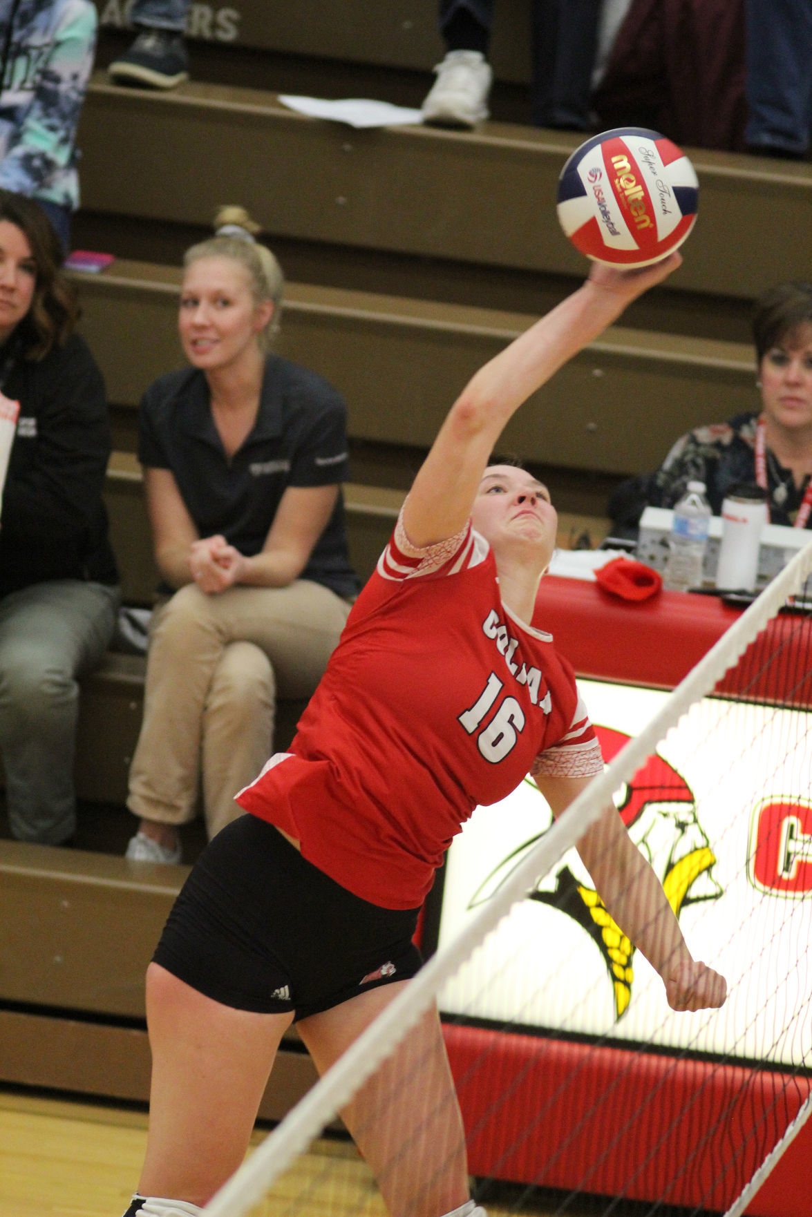 Cameron at Colfax volleyball regionals 10-24-19
